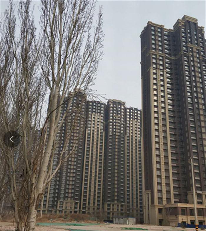 北科建翡翠大觀(guān)仿石灰石涂料外墻裝飾裝修
