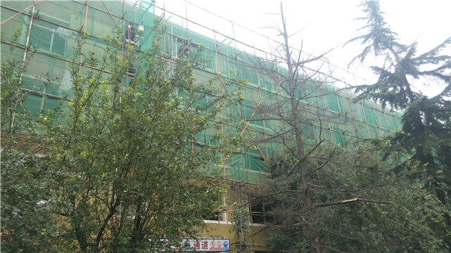 學校外墻翻新質感涂料案例